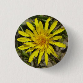 Bóton Redondo 2.54cm F21 Flor Amarela Selvagem Crepis de Folhas Estreit