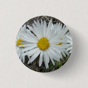Bóton Redondo 2.54cm F42 Flores Silvestres Brancas Aster Suave