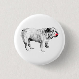 Bóton Redondo 2.54cm faísca vermelha, bulldog calmo
