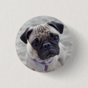 Bóton Redondo 2.54cm Fechamento do Pug