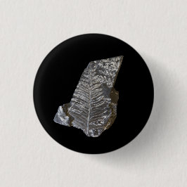 Bóton Redondo 2.54cm Fern Fossilizado Deixa A Fotografia Do Rock Nature