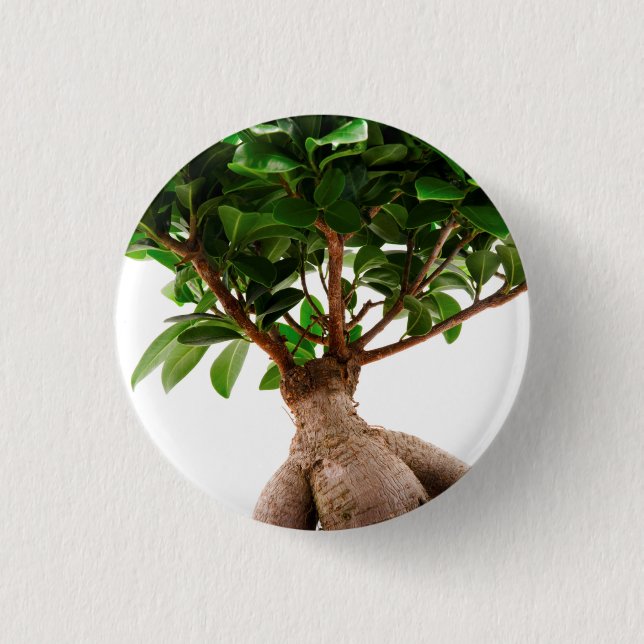 Bóton Redondo 2.54cm Ficus Ginseng (Frente)
