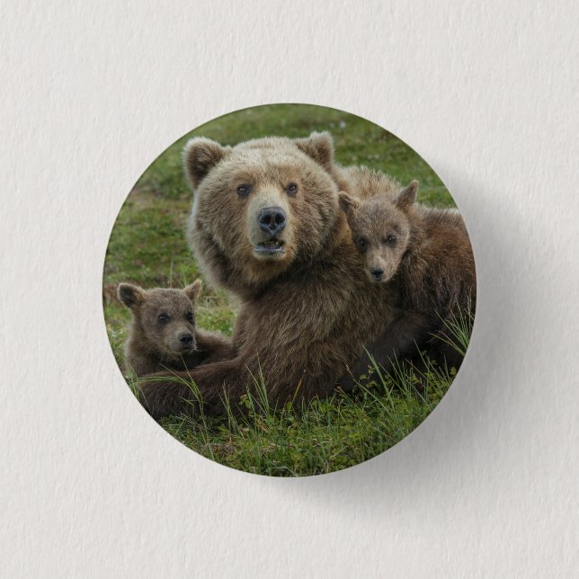 Bóton Redondo 2.54cm Filhotes de Urso Pardo se Aconchegando com a Mãe (Frente)