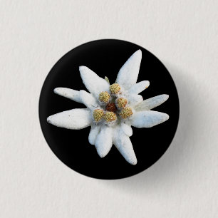 Bóton Redondo 2.54cm Flor alpina de Edelweiss