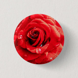 Bóton Redondo 2.54cm Flor da rosa vermelha