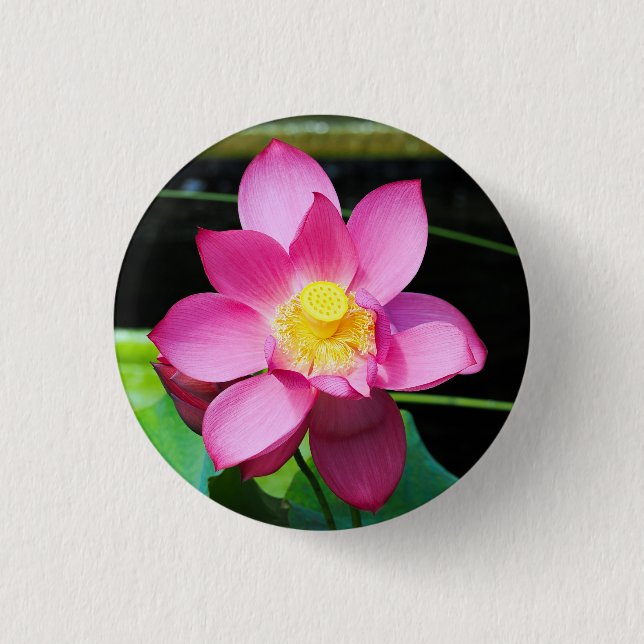 Bóton Redondo 2.54cm Flor de Lotus Rosa Quente (Frente)