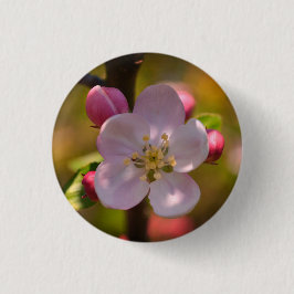 Bóton Redondo 2.54cm Flor de Maçã de Primavera