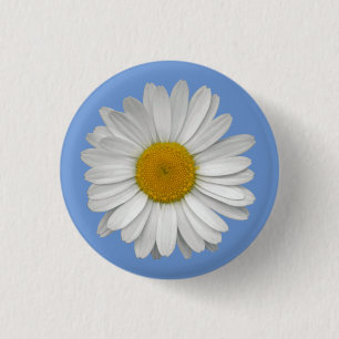 Bóton Redondo 2.54cm Flor de margarida branca simples em azul claro