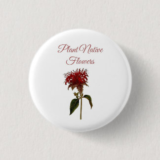 Bóton Redondo 2.54cm Flores Nativas da Planta Monarda Botão