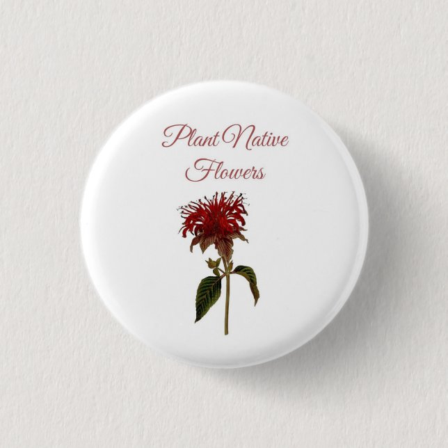 Bóton Redondo 2.54cm Flores Nativas da Planta Monarda Botão (Frente)