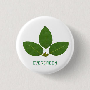 Bóton Redondo 2.54cm Folhas Verdes Modernas em Branco