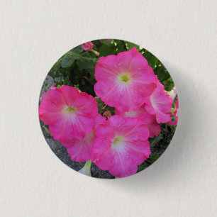 Bóton Redondo 2.54cm Foto bonito da Flor de Petunia Rosa