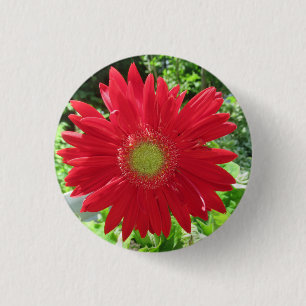 Bóton Redondo 2.54cm Foto bonito Red Gerbera Daisy