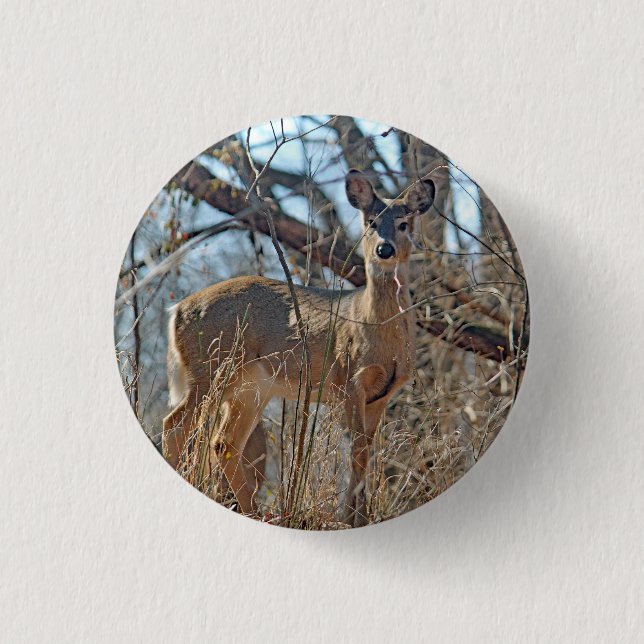 Bóton Redondo 2.54cm Foto de Wildlife Deer Woods (Frente)