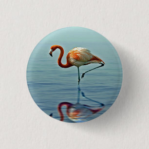 Bóton Redondo 2.54cm Foto Flamingo Pink Refletim Wildlife