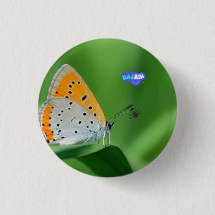 Bóton Redondo 2.54cm Fundo verde e borboleta amarela e branca e aranha