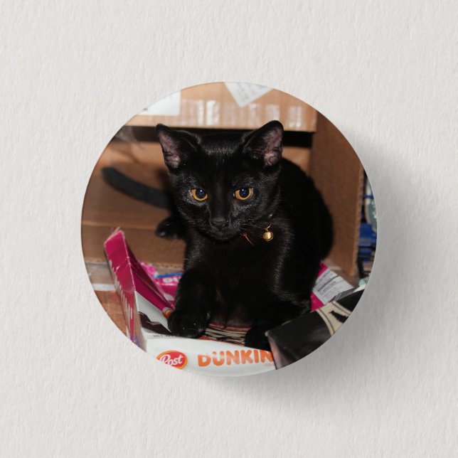 Bóton Redondo 2.54cm Gato (Frente)