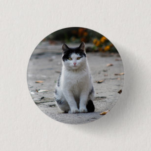Bóton Redondo 2.54cm Gato, Branco, Pet
