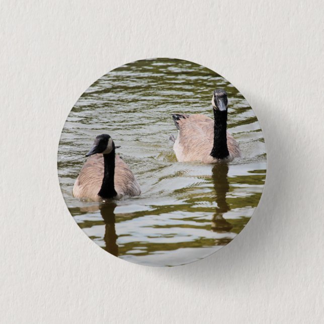 Bóton Redondo 2.54cm Geese (Frente)