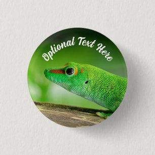 Bóton Redondo 2.54cm Giant Green Day Gecko - Phelsuma grandis