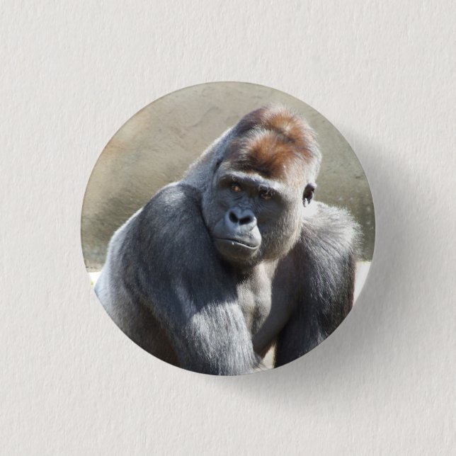 Bóton Redondo 2.54cm Gorilla Crachá (Frente)