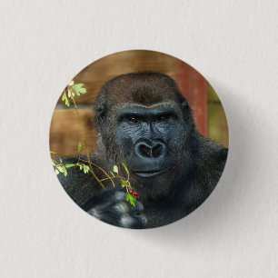 Bóton Redondo 2.54cm Gorilla E Suas Berries