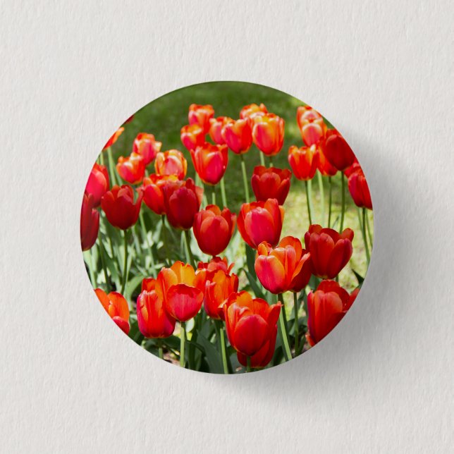 Bóton Redondo 2.54cm Grande campo de tulipas vermelhas (Frente)