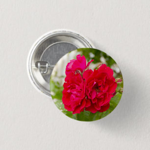 Bóton Redondo 2.54cm Grandes rosas vermelhas no jardim