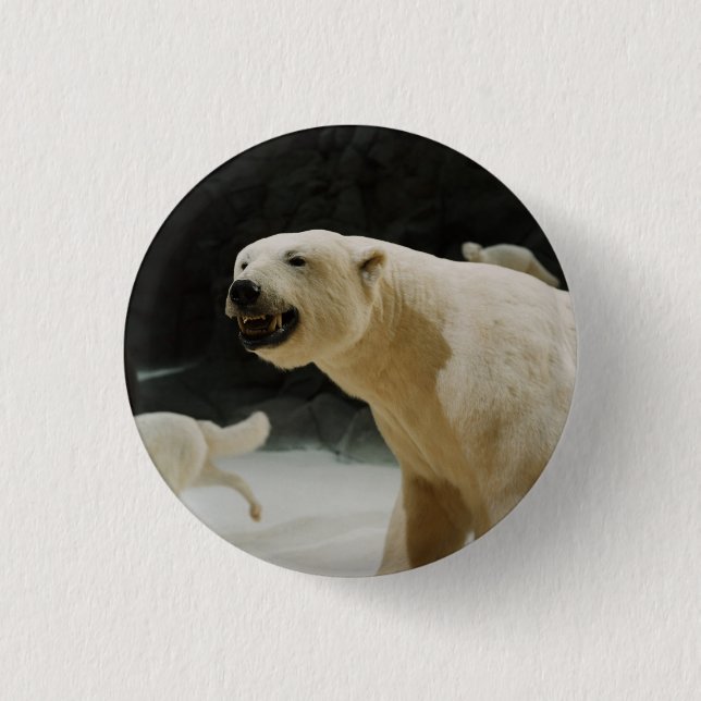 Bóton Redondo 2.54cm Grin do Urso Polar (Frente)