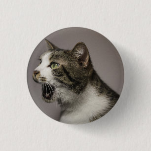 Bóton Redondo 2.54cm Gritando Pino de Gato