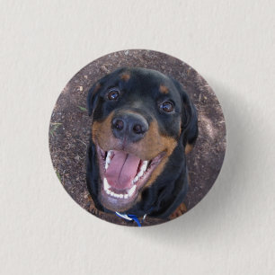 Bóton Redondo 2.54cm Heidi Happy Rottweiler Botão