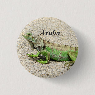 Bóton Redondo 2.54cm Iguana verde de Aruba