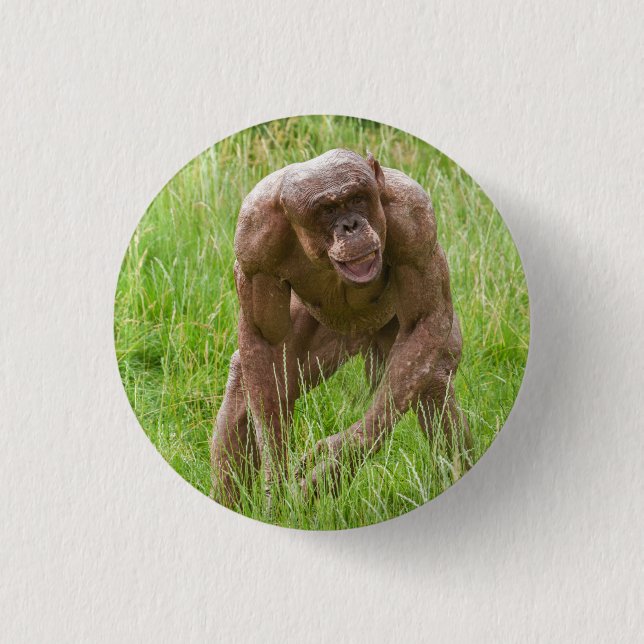 Bóton Redondo 2.54cm Jambo O Chimp Única Sem Cabelo (Frente)