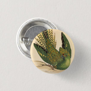 Bóton Redondo 2.54cm James Sowerby Ground Parrot, Psittacus terrestris