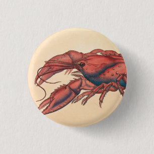 Bóton Redondo 2.54cm James Sowerby Sernotated Lobster
