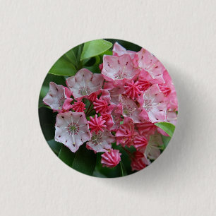 Bóton Redondo 2.54cm Kalmias em forma de estrela