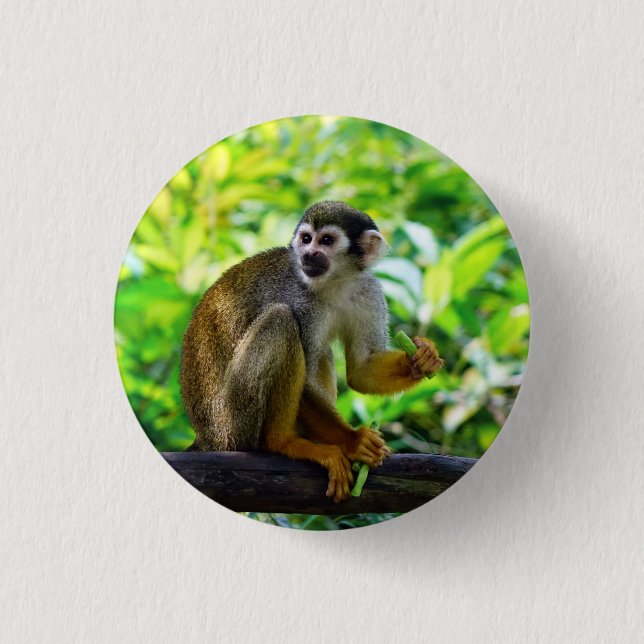 Bóton Redondo 2.54cm Macaco de esquilo bonito (Frente)