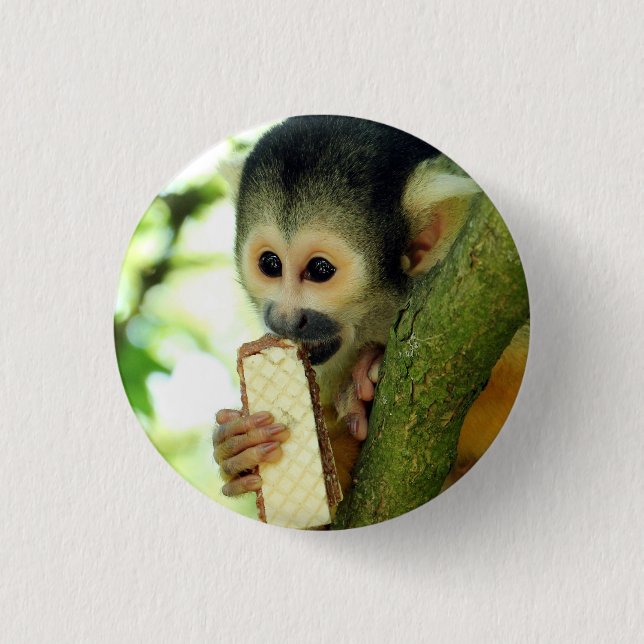 Bóton Redondo 2.54cm Macaco Esquilo Bebê Fofo Comendo um Biscoito Wafer (Frente)