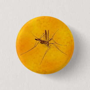 Bóton Redondo 2.54cm Mosquito na Réplica Fóssil Amber Sap Pré-histórica