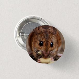Bóton Redondo 2.54cm Mouse Brown Comendo amendoim Fechado