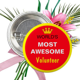 Bóton Redondo 2.54cm Mundos Mais Incríveis - VOLUNTÁRIO (melhor)