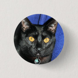 Bóton Redondo 2.54cm Murphy