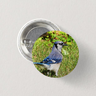 Bóton Redondo 2.54cm Norte Blue Jay