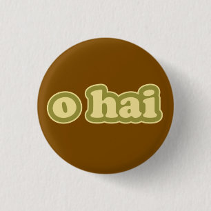 Bóton Redondo 2.54cm O HAI Lolcat Fala Flair Pinback Botão