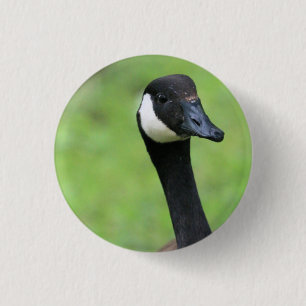 Bóton Redondo 2.54cm O quê?