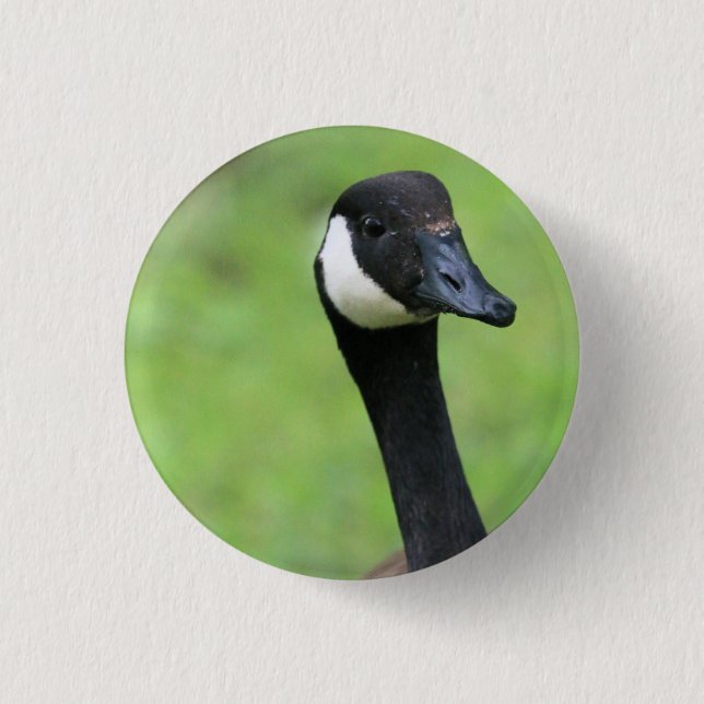 Bóton Redondo 2.54cm O quê? (Frente)