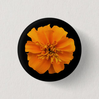 Bóton Redondo 2.54cm Orange Marigold em preto