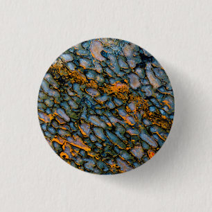 Bóton Redondo 2.54cm Osso do Dinossauro Petrificado