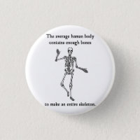 Ossos de esqueleto no corpo humano médio