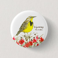 Pássaro do Estado de Meadowlark, pincel-de-pincel